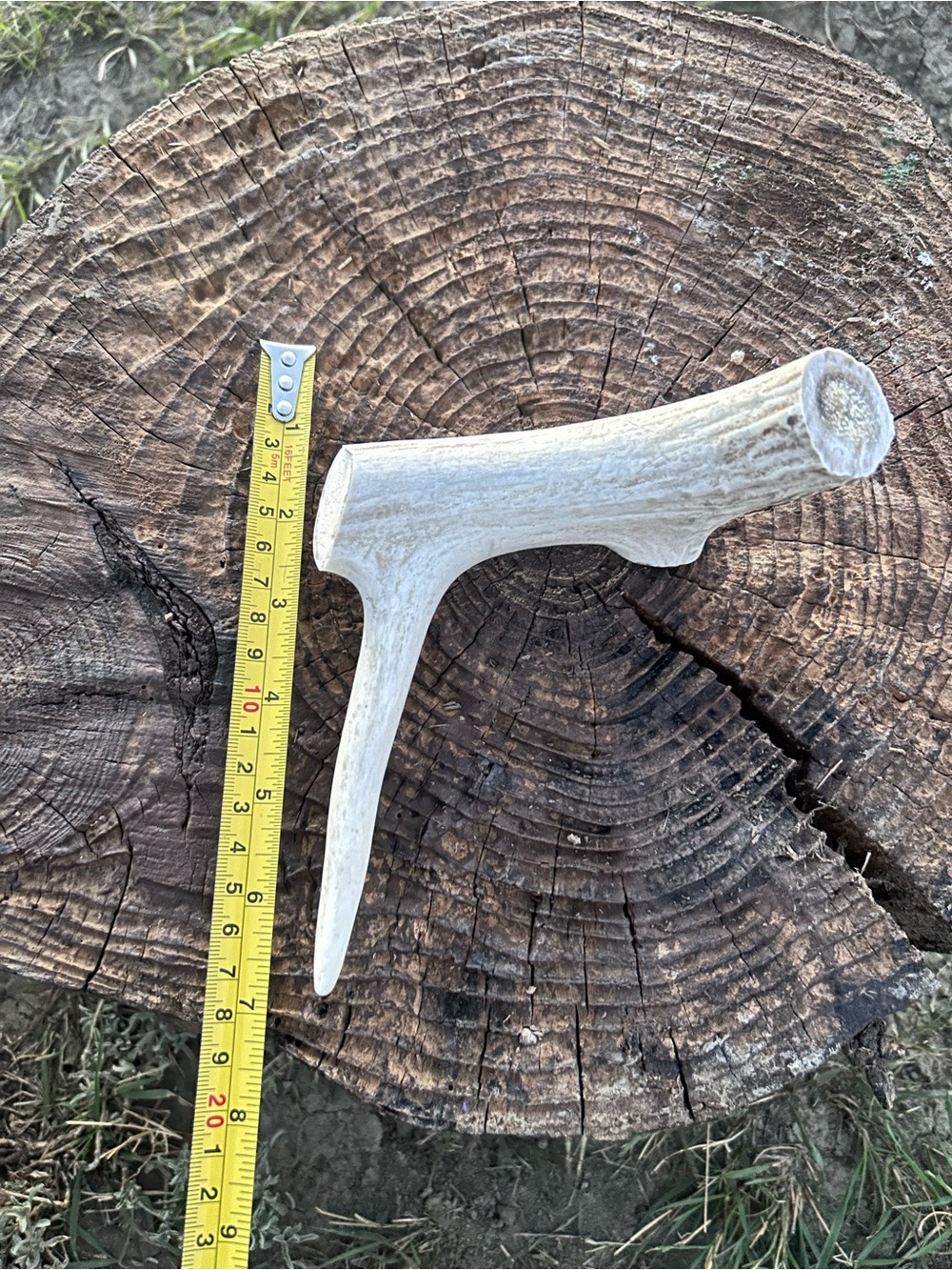 Natural Mineral White Antler Dog Chew